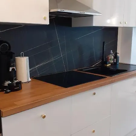 公寓 T3 Moderne Et Cosy Avec Linge Et Menage Compris *